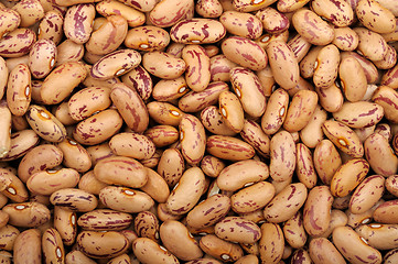 Image showing background of Pinto beans