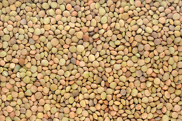 Image showing background of brown lentils