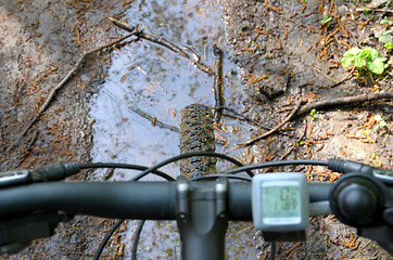 Image showing handlebar and speedometer