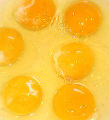 Image showing Eggs Yolk