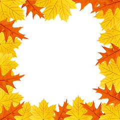 Image showing background of the leaves of maple and oak