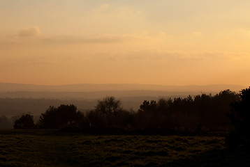 Image showing Ashdown Forest Evening