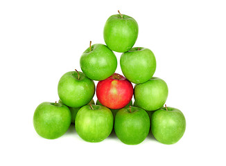 Image showing Green apples on a white background