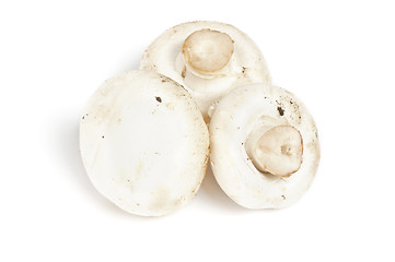 Image showing Three Big Perfect White Champignon Mushroom