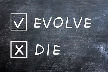 Image showing Evolve or die check boxes on a smudged blackboard