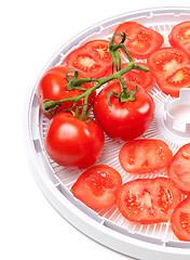 Image showing Fresh tomato on food dehydrator tray