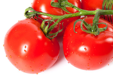 Image showing Bunch of fresh tomatoes with water drops