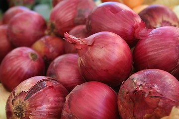 Image showing Red Onions