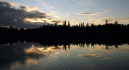 Image showing sunset forest