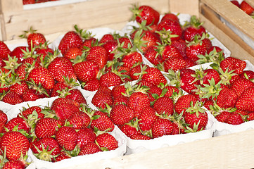 Image showing strawberry