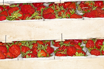 Image showing strawberry