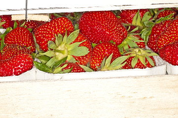 Image showing strawberry