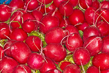 Image showing radish