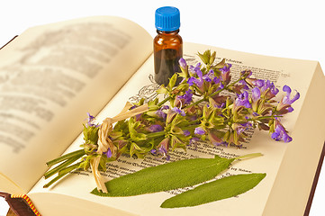 Image showing sage with herbal tincture and medieval book