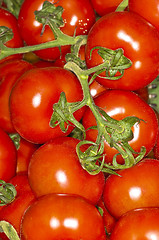 Image showing tomato 