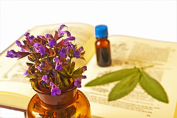 Image showing sage with herbal tincture and medieval book