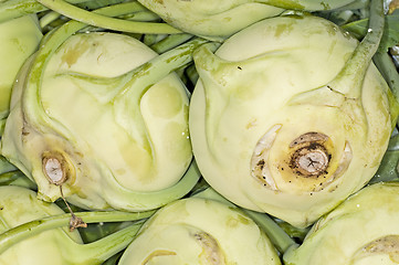 Image showing  cabbage turnip at a street sale