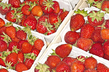 Image showing strawberry