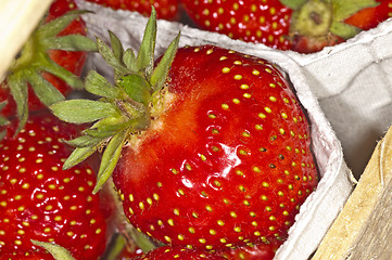 Image showing strawberry