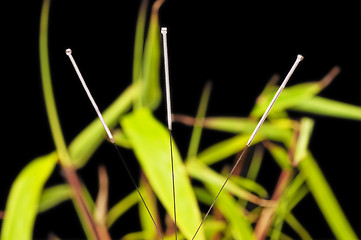 Image showing acupuncture needles