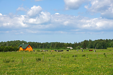 Image showing Countryside