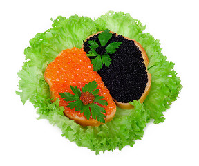 Image showing Sandwiches with red and black caviar on lettuce leaves