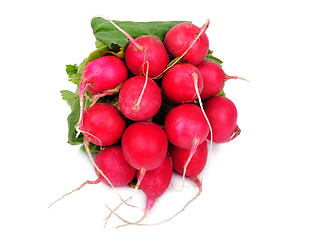 Image showing Radish on a white background