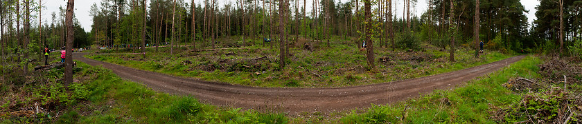 Image showing The Jim Walsh Cork Forest Rally