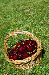 Image showing Cherries in a basket