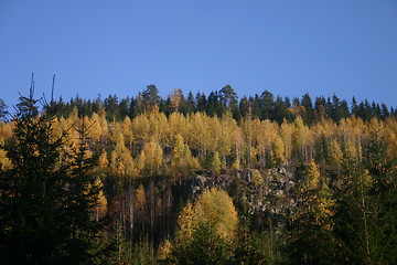 Image showing october forest
