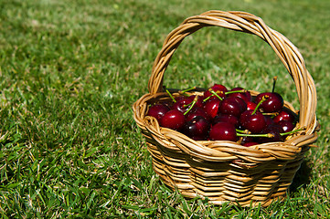 Image showing Cherries in a basket