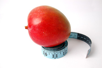 Image showing Mango Champion