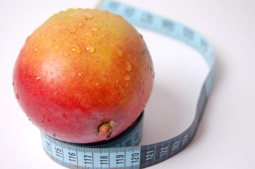 Image showing Mighty Mango