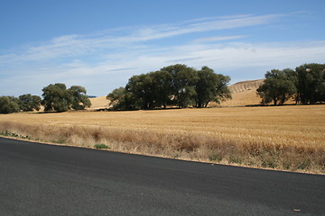 Image showing Rural Countryside