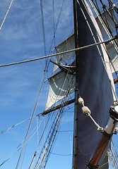 Image showing Tall Ship Sails