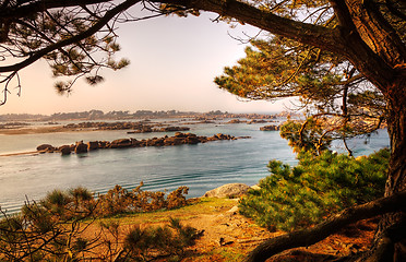 Image showing Landscape in Brittany