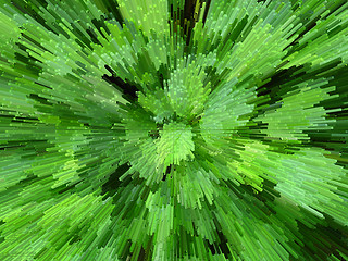Image showing Green background