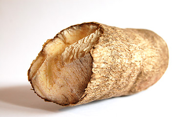 Image showing African Yam