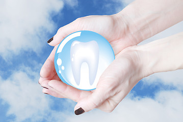 Image showing hands holding tooth in glass sphere, dentistry  
