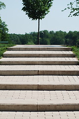 Image showing stairs to a wood  