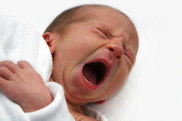 Image showing Crying baby