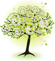 Image showing season tree for spring with leafs and flowers 