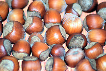 Image showing walnuts background and texture