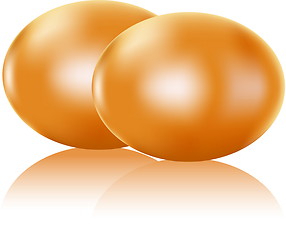 Image showing Two painted eggs isolated on white, vector easter symbol 