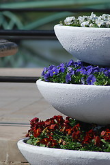 Image showing colorful three rows  - flowerbed in city park