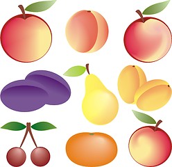 Image showing fruits vector set