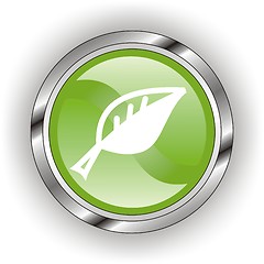 Image showing green web glossy button  or icon  with wave