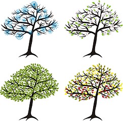 Image showing season tree for winter, spring, summer, autumn