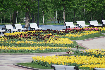 Image showing outdoor - city park in Moscow at the spring and summer