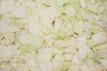 Image showing cabbage  background
